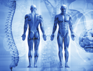 What is whole body cryotherapy?